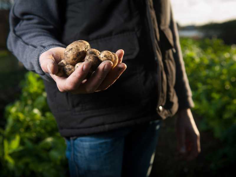 Croissance libérée