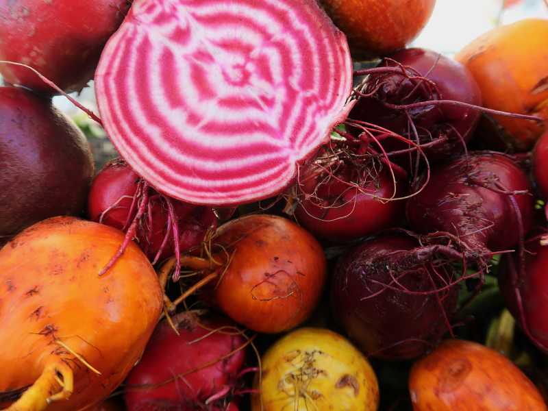 Le travail d’équipe&nbsp;triomphe